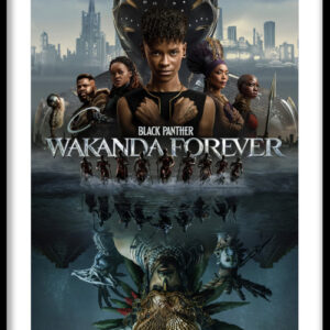 Wakanda Legacy Reflection